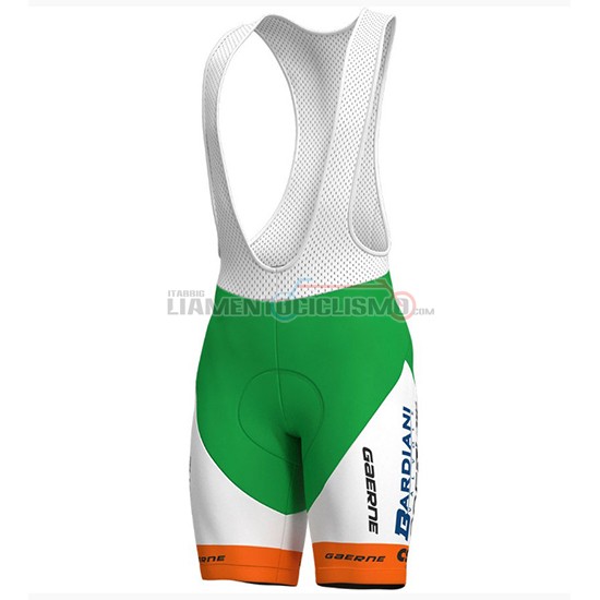 Abbigliamento Ciclismo Bardiani Csf Manica Corta 2018 Verde e Bianco
